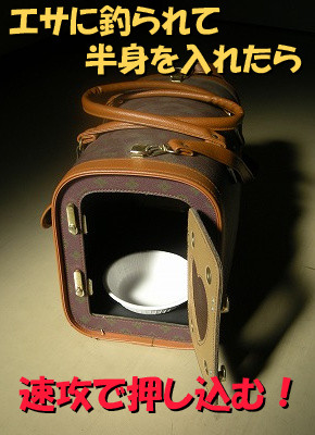 エサで釣る