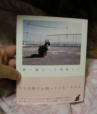チロ様本