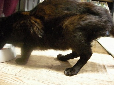 お腹ポッコリ？