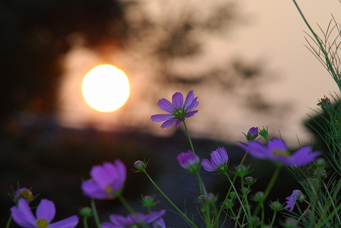 夕日にサヨナラ(^.^)/~~~