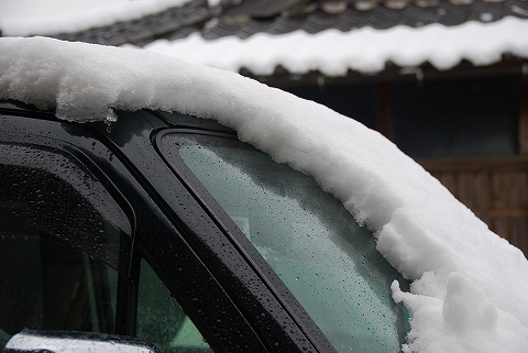 こんだけの積雪・・・誰がなんと言おうと「大雪」じゃ！（この辺では…）