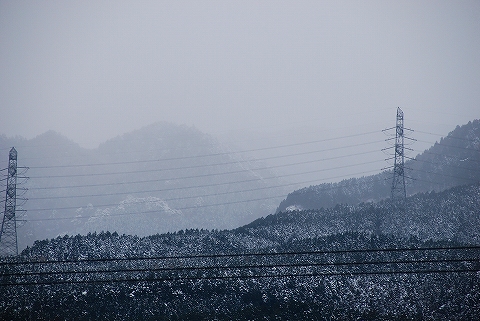 山は今日も降ってますぜ！