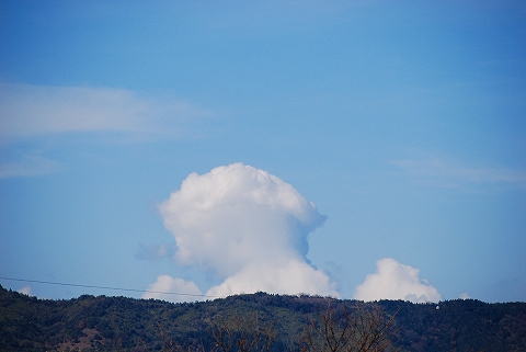 2008.01.27の空03 夏の雲みたい？