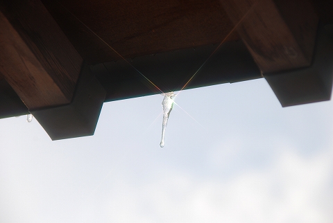朝日受け  解けて煌く  氷柱かな