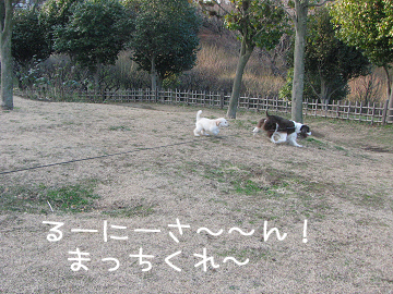 IMG_04570014のコピー.jpg