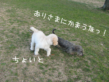 IMG_04680025のコピー.jpg