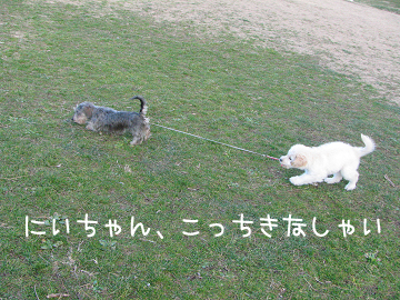 IMG_04710028のコピー.jpg