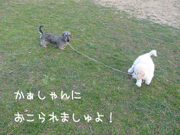 IMG_04720029のコピー.jpg