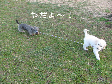 IMG_04730030のコピー.jpg