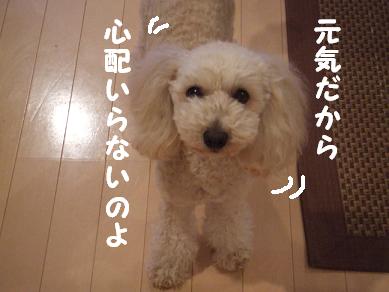 しな