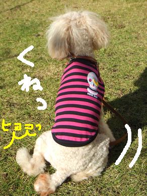 あれ。。。