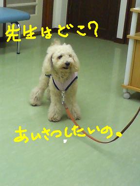 先生は？？