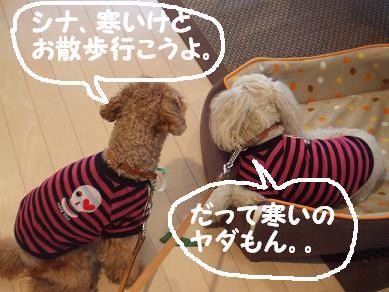 相談中