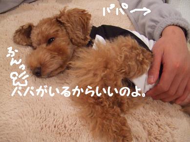 裏切り者！！！