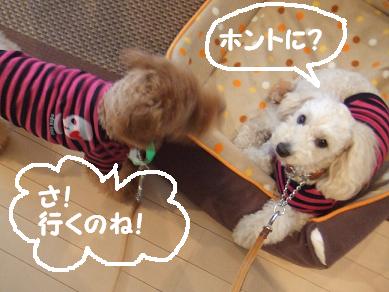 行こ行こ♪