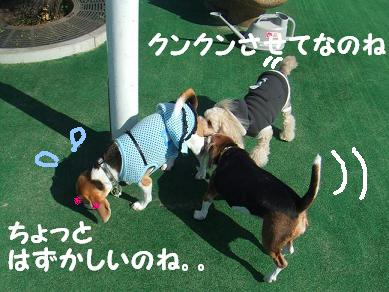 あいさつなのよ
