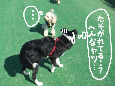 たそがれシナ