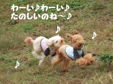 たっのしーい♪