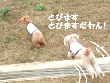 ぷぷ。