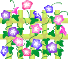 asagao[1].gif
