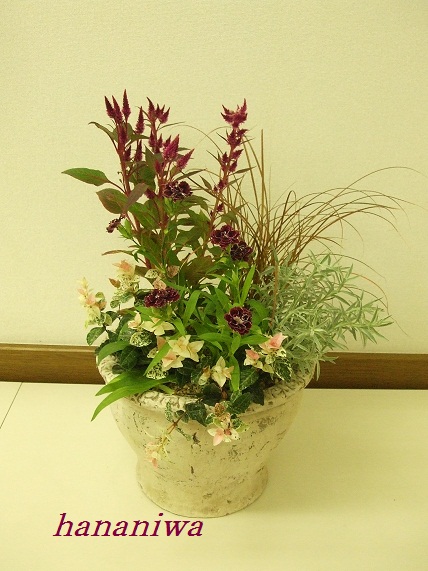 カルチャ―寄せ植え２