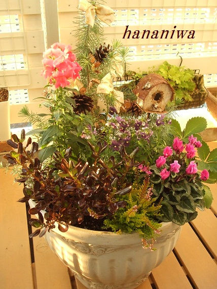 クリスマス寄せ植え3