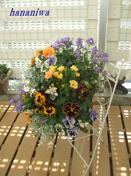 ベランダドレスｱｯﾌﾟ右１２０１０９.JPG