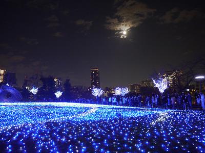 画像 28334.jpg