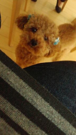 2011051714000000.jpg
