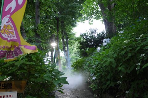 画像 28963.jpg