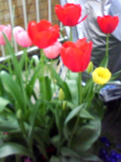 090408_1231.jpg