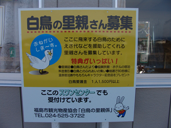 白鳥里親の看板