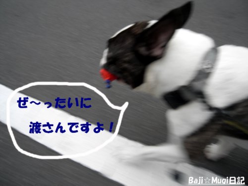 7.6バジ4