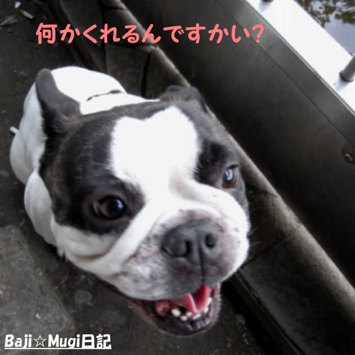清水池公園6