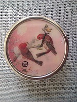 Image100.jpg