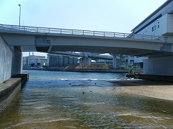 住吉川河口