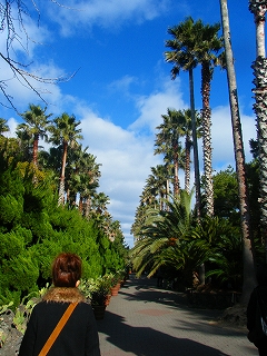 ハンリン公園