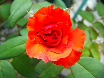 '09.8.24.jpg