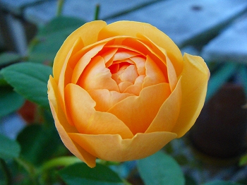 '09.8.24 (1).jpg