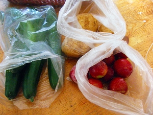 無人売店の野菜
