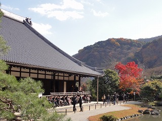 DSC01164.jpg