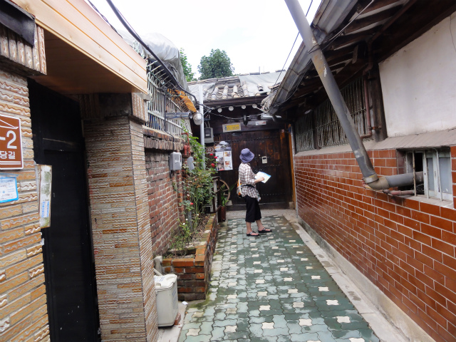 DSC00422.jpg