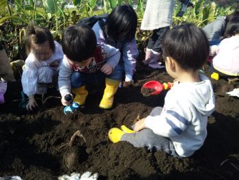 みんなでいも掘り、、いや土遊びに