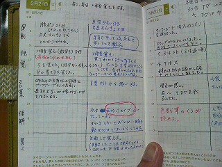 ほぼ日手帳