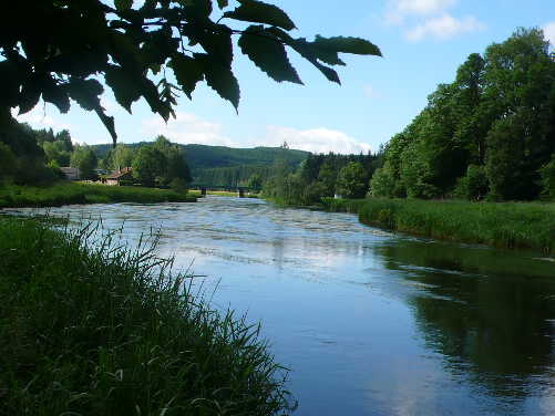 P1000651(1).JPG