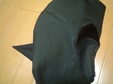 DSC09564.JPG