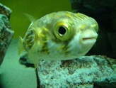 DSC00041.JPG