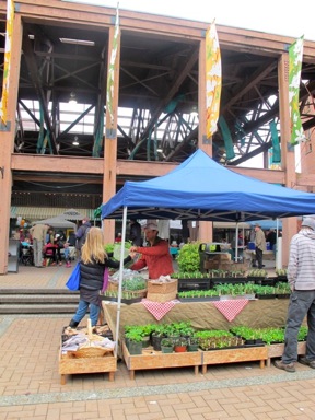 market square