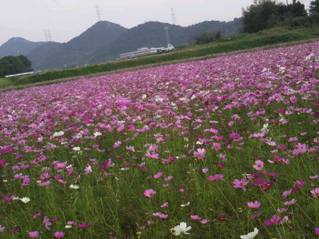 2011-10-10 16:56:41