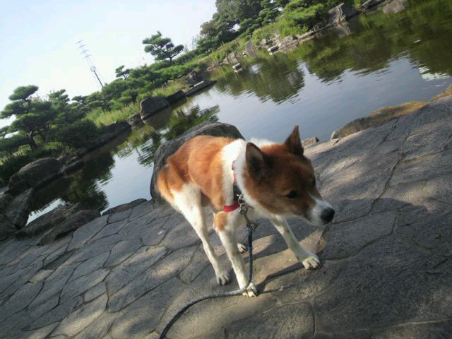 2011-10-10 17:00:13